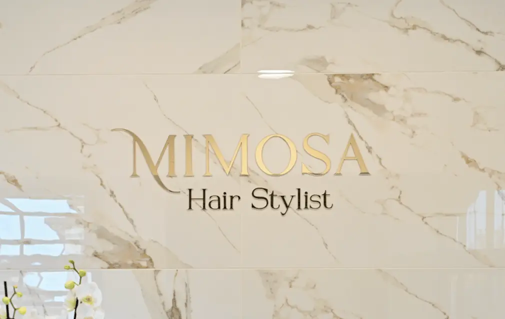 Ragazza professionale